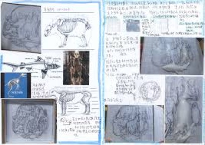 【DSE自修生】打算重考DSE點算?2023年自修生策略懶人包! 圖片來源