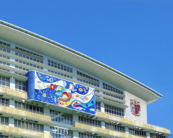 【九龍城區小學】34, 35, 41校網 熱門小學排名一覽|選校指南 九龍城區小學-喇沙小學