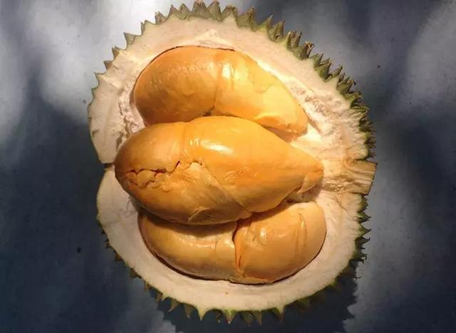 【榴槤品種】榴槤季節開鑼!產地品種大合集 包你食過返尋味! 榴槤品種